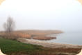 Dierh�ger Hafen im Nebel